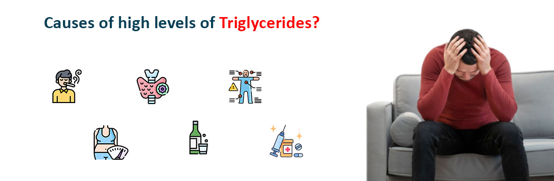 Causes of High Levels of Triglycerides